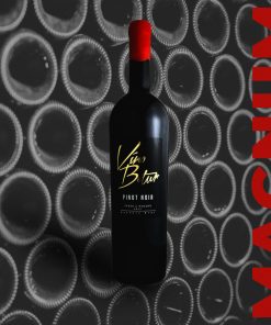 Víno Botur Pinot Noir 2015 MAGNUM výběr z hroznů