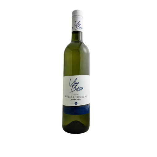 Müller Thurgau 2024, pozdní sběr