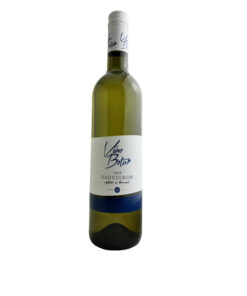 Sauvignon 2024, výběr z hroznů