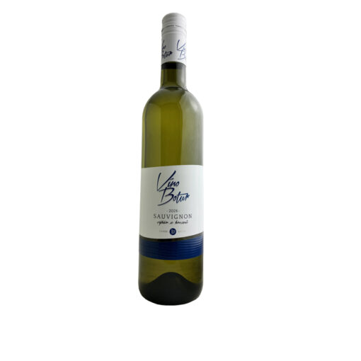 Sauvignon 2024, výběr z hroznů