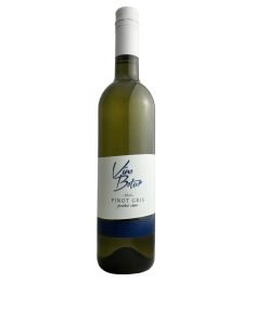 Pinot Gris 2024, pozdní sběr
